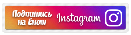 Подписаться на страницу Енота в Instagram