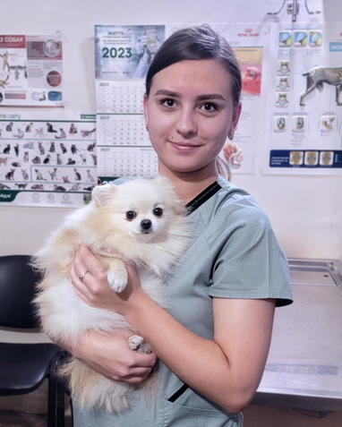 Ветеринар девушка с белой собакой шпицем