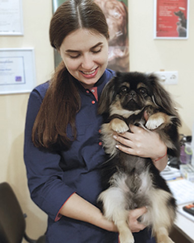 Ветеринарный врач с собакой на руках